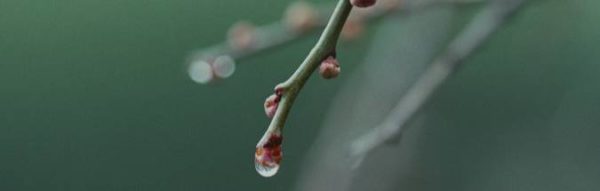 “业务连续，共赢云端”2017英方股份渠道训练营及产品系列三剑客